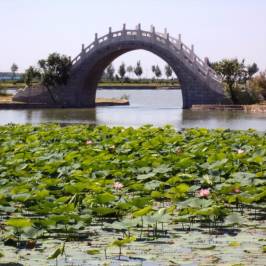 Longfeng Marsh