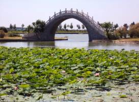 Longfeng Marsh