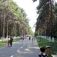 Harbin Forest Park