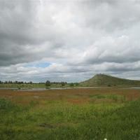 Qingsong Hunting Field