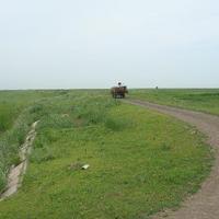 Qiqihaer Forest Park