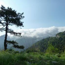 Jinxiu Valley of Lushan Mountain