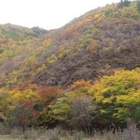 Lover 's Valley of Wudang