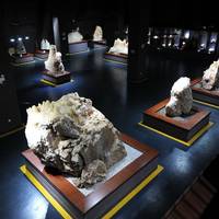 China Karst Geological Museum