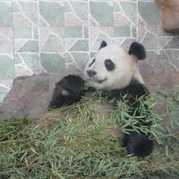 Wenzhou Zoo