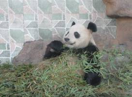 Wenzhou Zoo