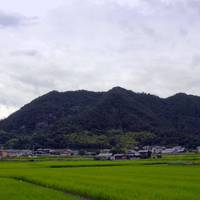 Washinoyama