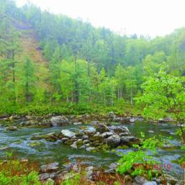 Arxan National Forest Park