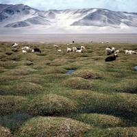 Bulunkou Lakes Marsh