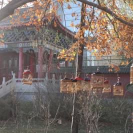 People's Park of Urumqi