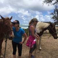 Turtle Bay Resort Horse Riding