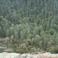 Mirador Pena del Cuervo