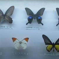 Changchun Geological Palace Museum