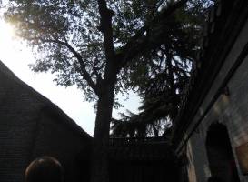 Former Residence of Zhou Enlai
