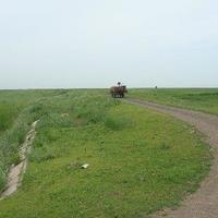 Yushuwaizi Scenic Resort