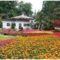Jiefang Park