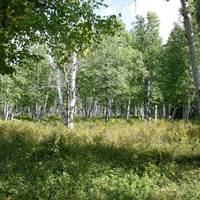 Parc National de la Pointe-Taillon