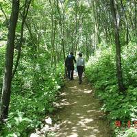 Jiulong Pond Scenic Resort of Qinling