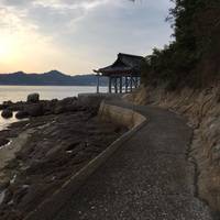 Shiraishinohana