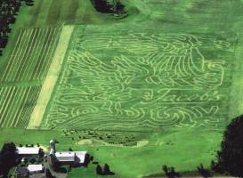 Jacob's Corn Maze