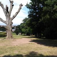 Phear Park