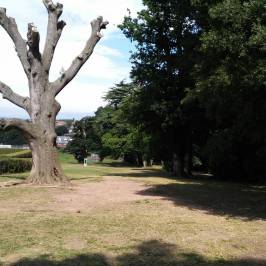 Phear Park