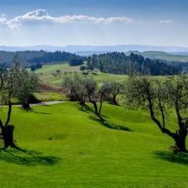 Golf Club Castelfalfi