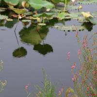 Pondoflotus Wetland Park