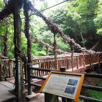 Monkey Kazura Bridge