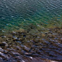 Grassi Lakes