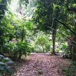Finca La Isla