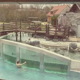 Spreewelten Sauna & Badeparadies