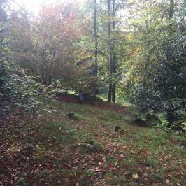 Hestercombe Gardens