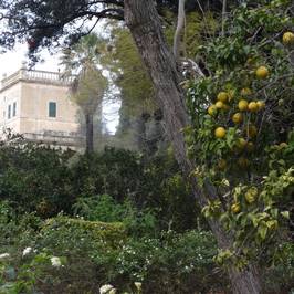 San Anton Gardens