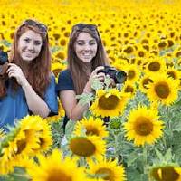 Camera Etrusca Private Day Tours