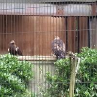 Morioka Zoological Park
