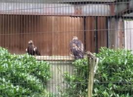 Morioka Zoological Park