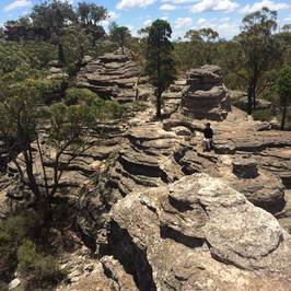 Munghorn Gap Nature Reserve