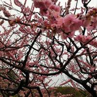 Hiraoka Park