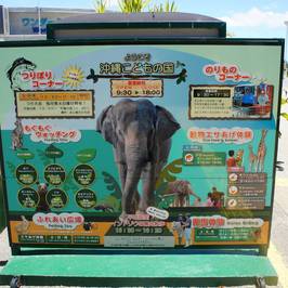 Okinawa Zoo & Museum