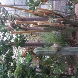 Botanischer Garten
