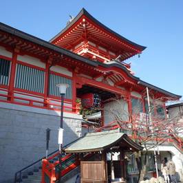 Mondo Yakujin