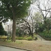Toyama Park