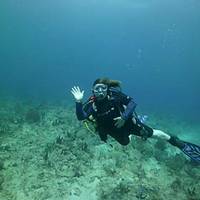 Gold Coast Scuba