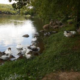 Parque Portugal