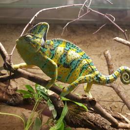 Exotarium