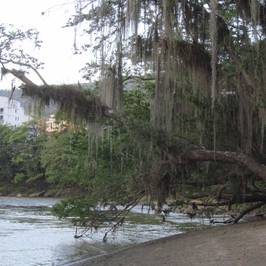 Parque Gallineral