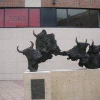 Museo Del Toro