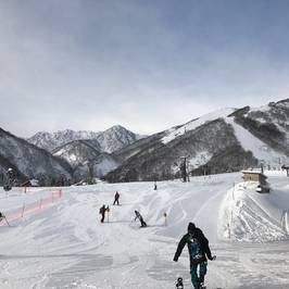 Hakuba Goryu Ski Resort / Alpine Garden