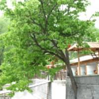 Changping Shuanglong Mountain Park Forest
